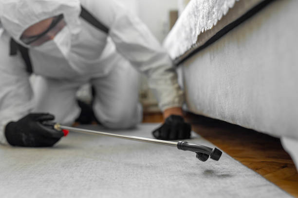 Professional Termite Control technician working in Aberdeen, OH