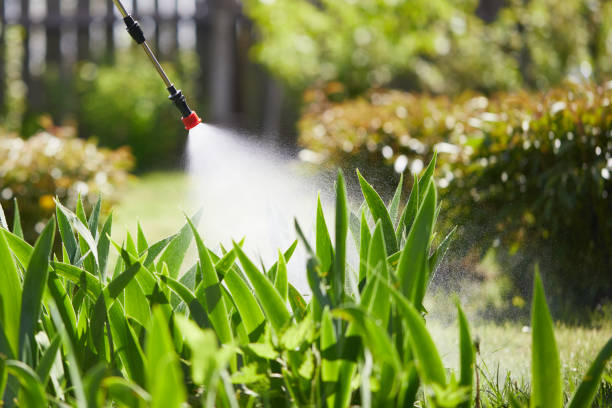 24/7 Emergency Termite Control experts in Aberdeen, OH