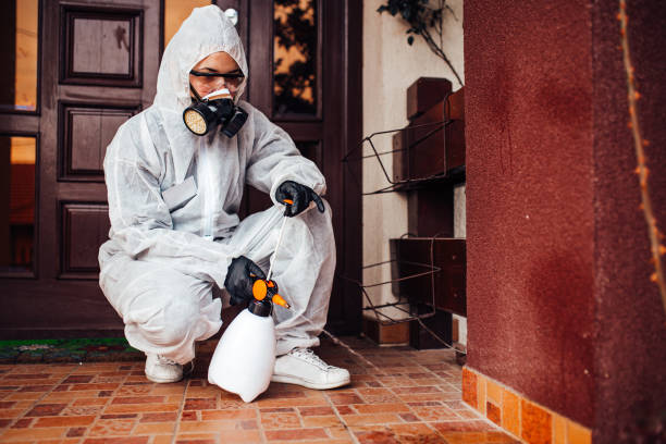 Reliable Termite Control contractor in Aberdeen, OH by Nex Pest Control