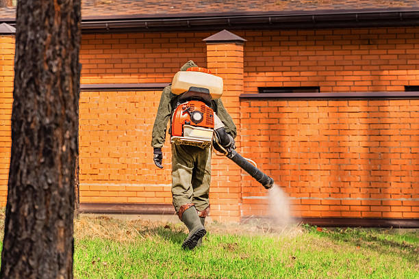 Top rated local Termite Control specialists in Aberdeen, OH